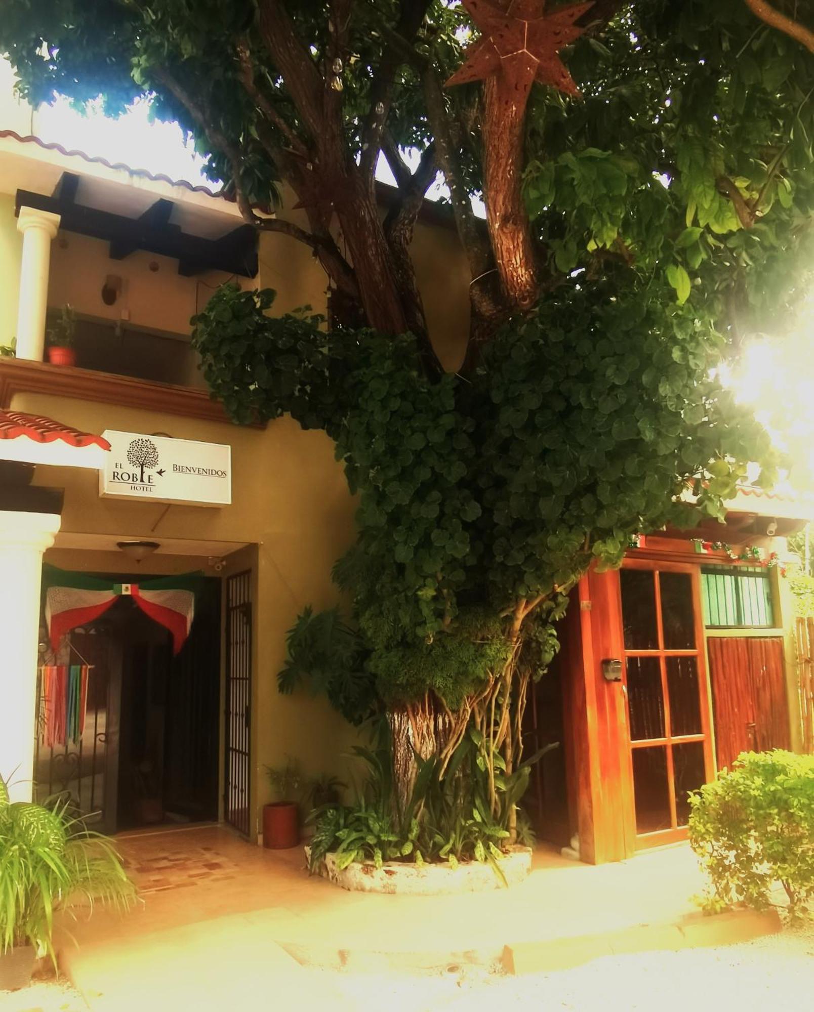 El Roble Hotel Bacalar Ngoại thất bức ảnh